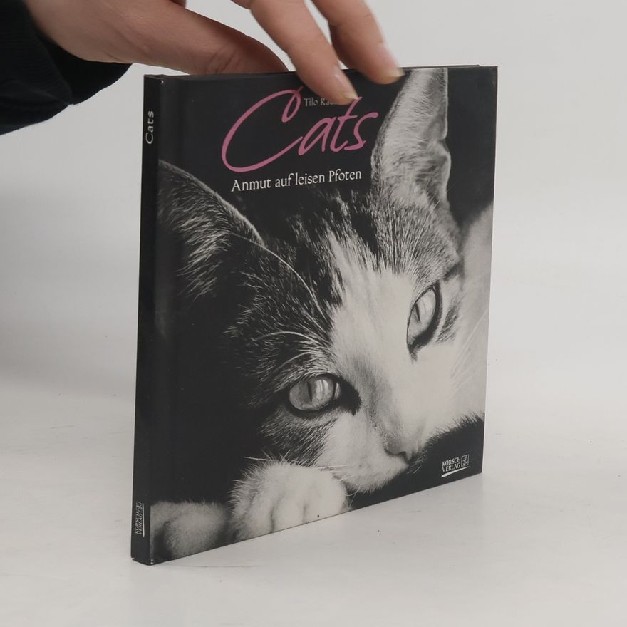 Thilo Rausch Cats