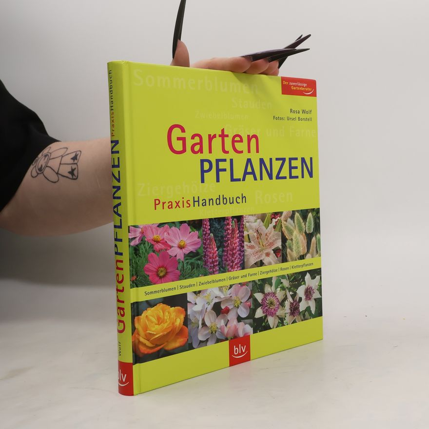 Rosa Wolf Gartenpflanzen