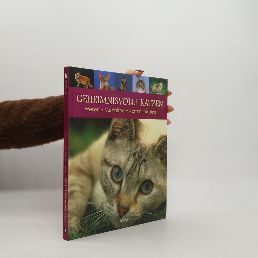 Autorenkollektiv Geheimnisvolle Katzen