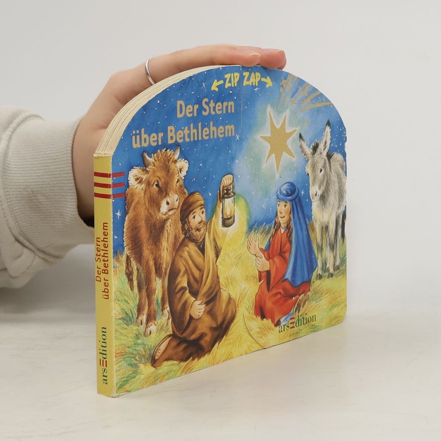 Mia Reinke Der Stern über Bethlehem