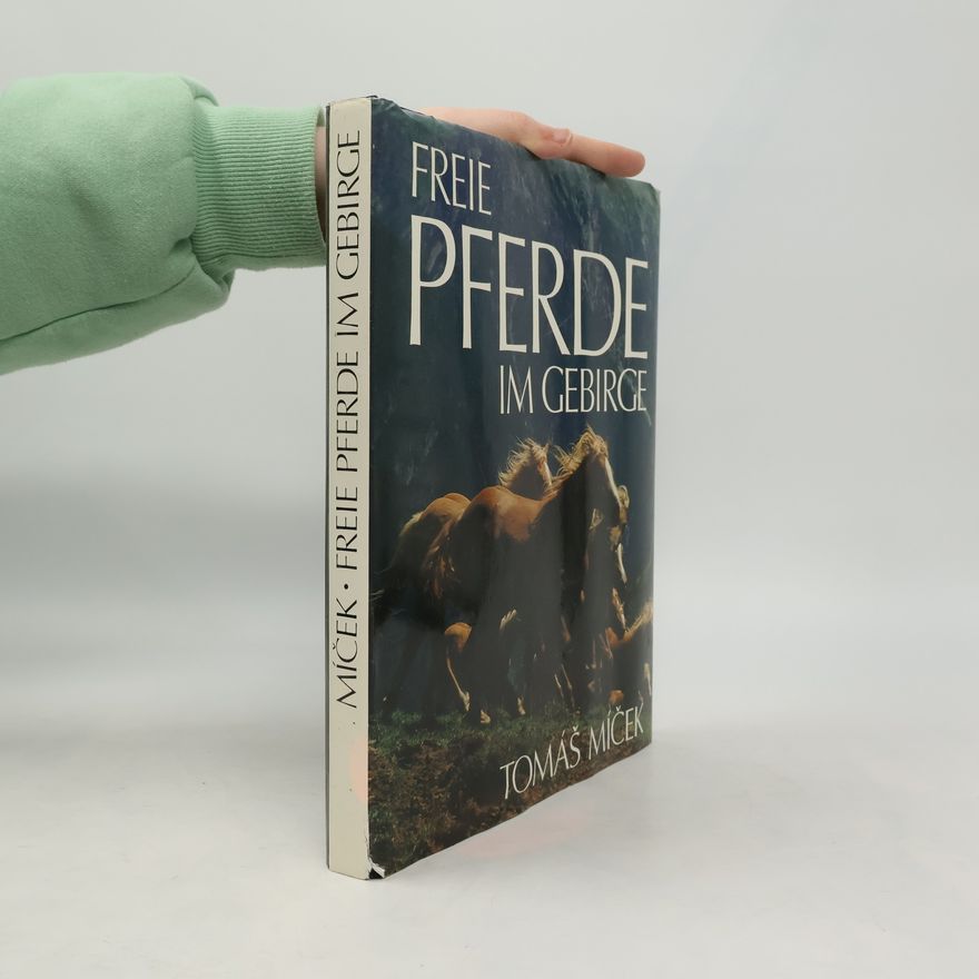 Tomáš Míček Freie Pferde im Gebirge