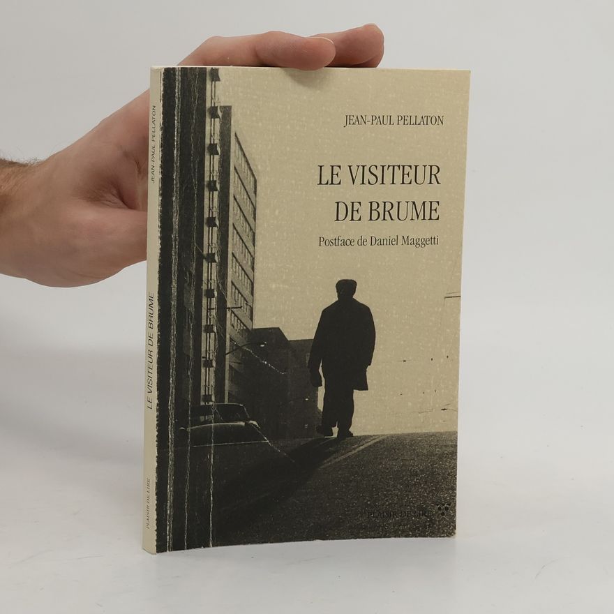 Daniel Maggetti Le visiteur de brume