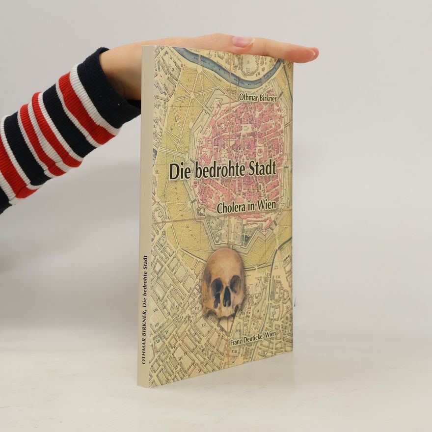 Othmar Birkner Die bedrothe Stadt