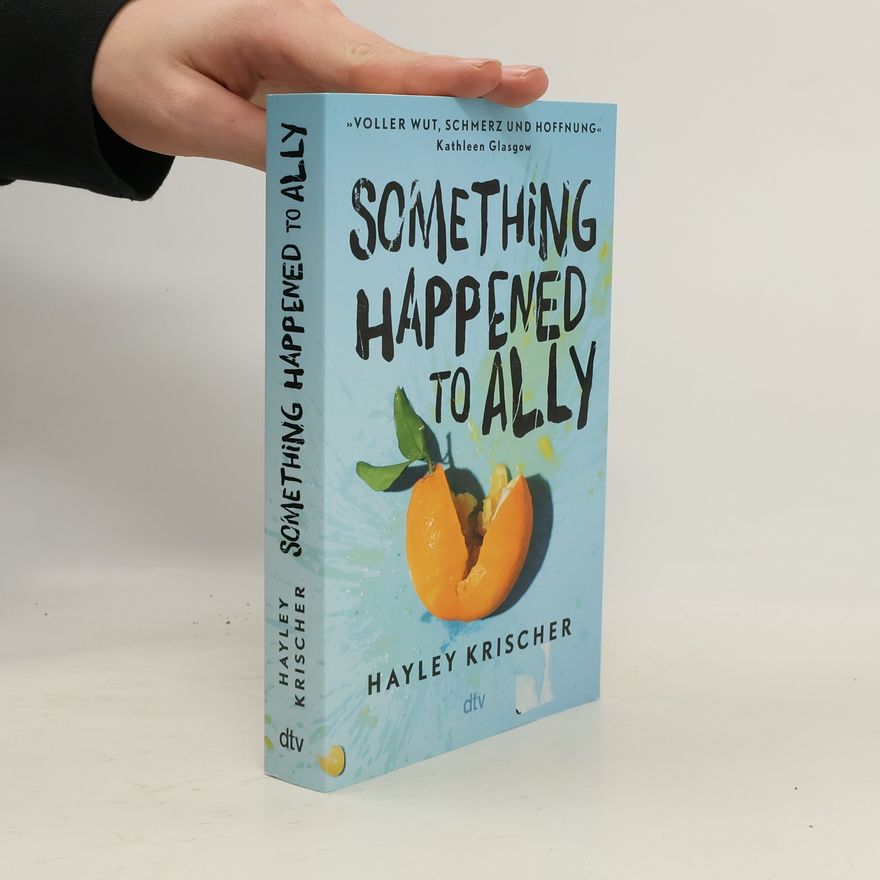 Hayley Krischer Something Happened to Ally