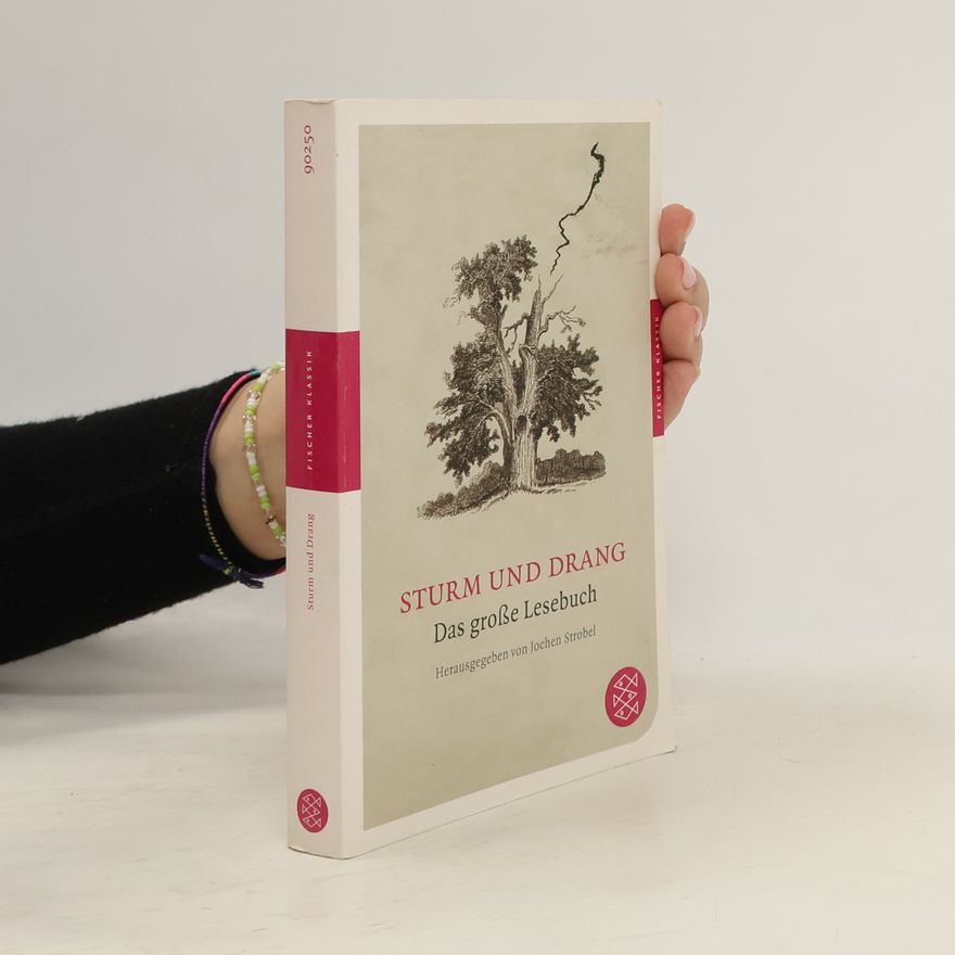Jochen Strobel Sturm und Drang