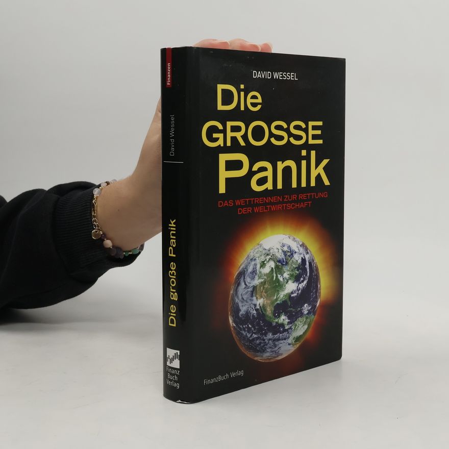 David Wessel Die große Panik