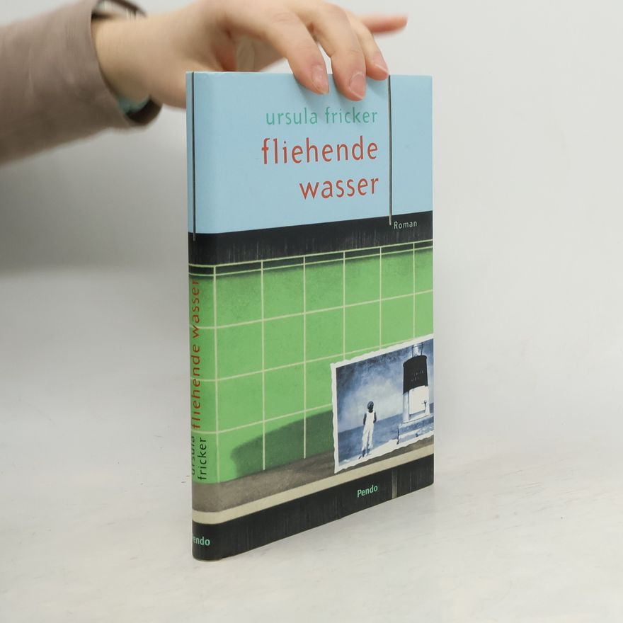 Ursula Fricker Fliehende Wasser