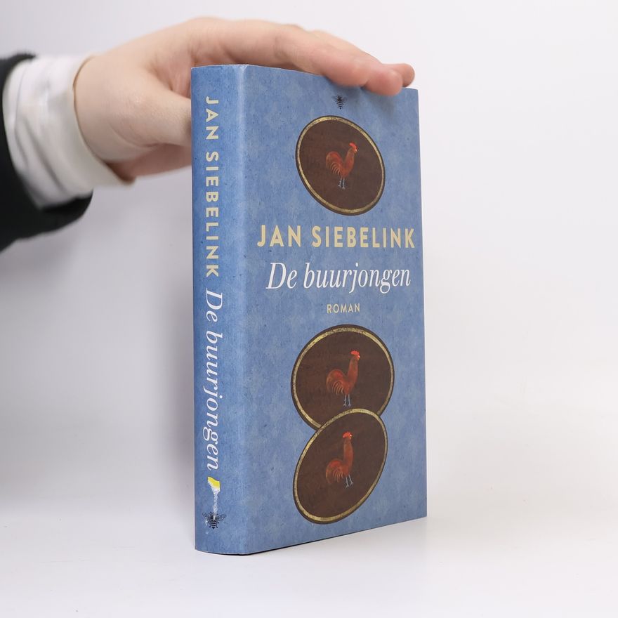 Jan Siebelink De buurjongen