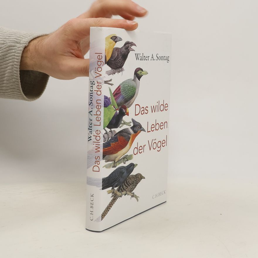 Walter A. Sontag Das wilde Leben der Vögel