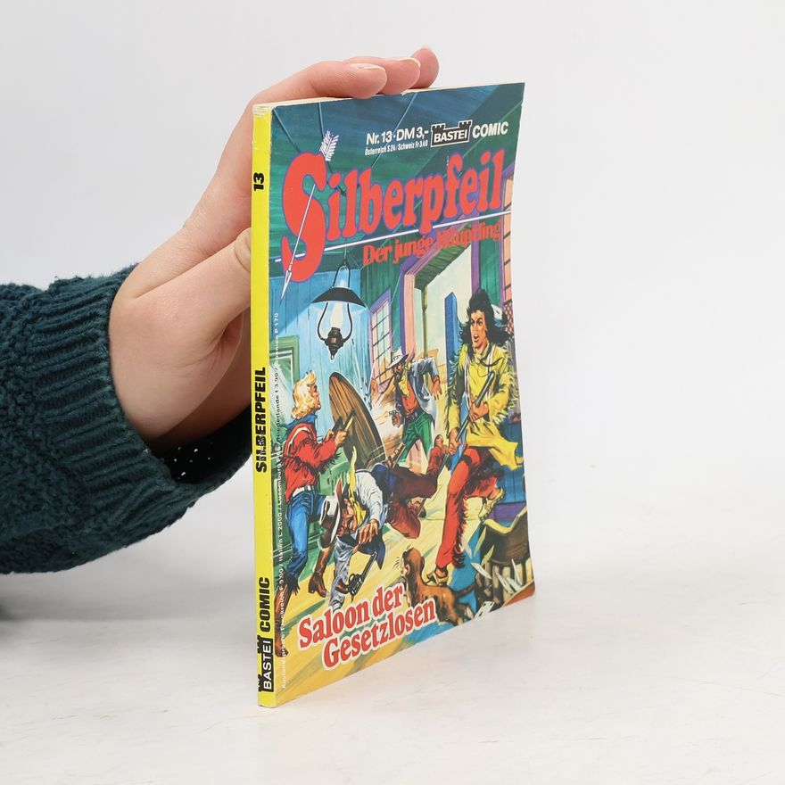 Autorenkollektiv Silberpfeil 13. Der junge Häuptling