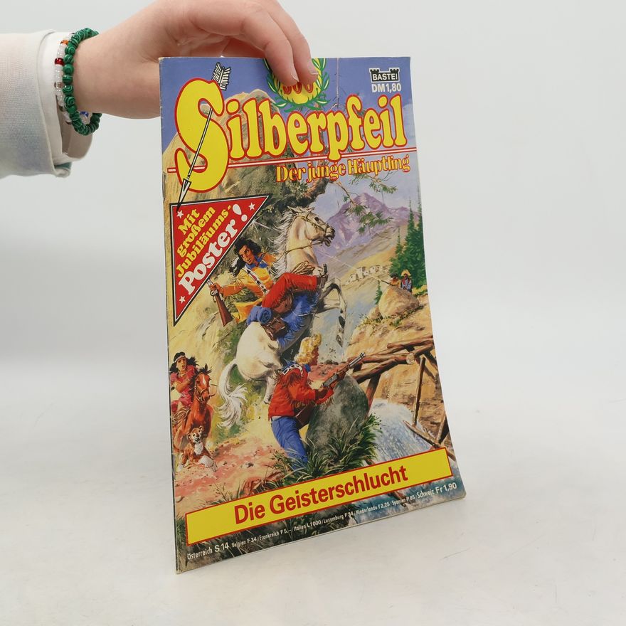 Autorenkollektiv Silberpfeil. Der junge Häuptling