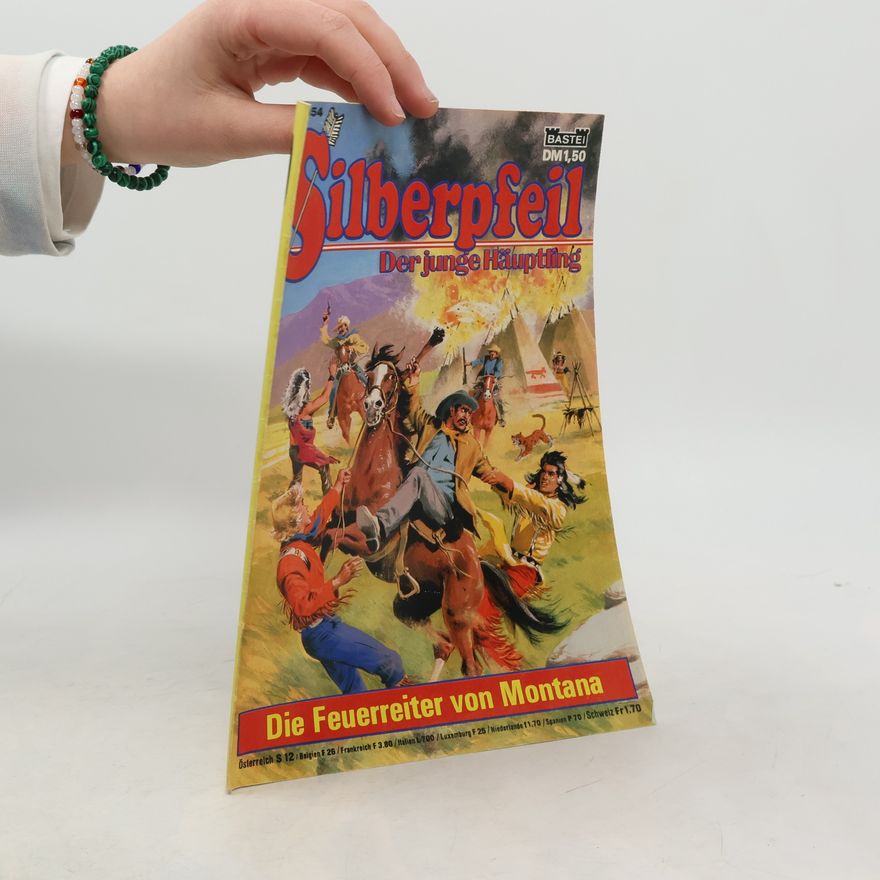 Autorenkollektiv Silberpfeil. Der junge Häuptling