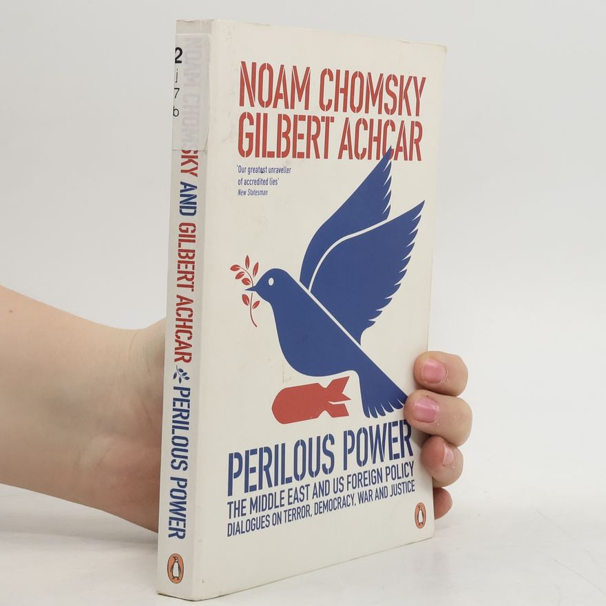 Noam Chomsky Perilous Power