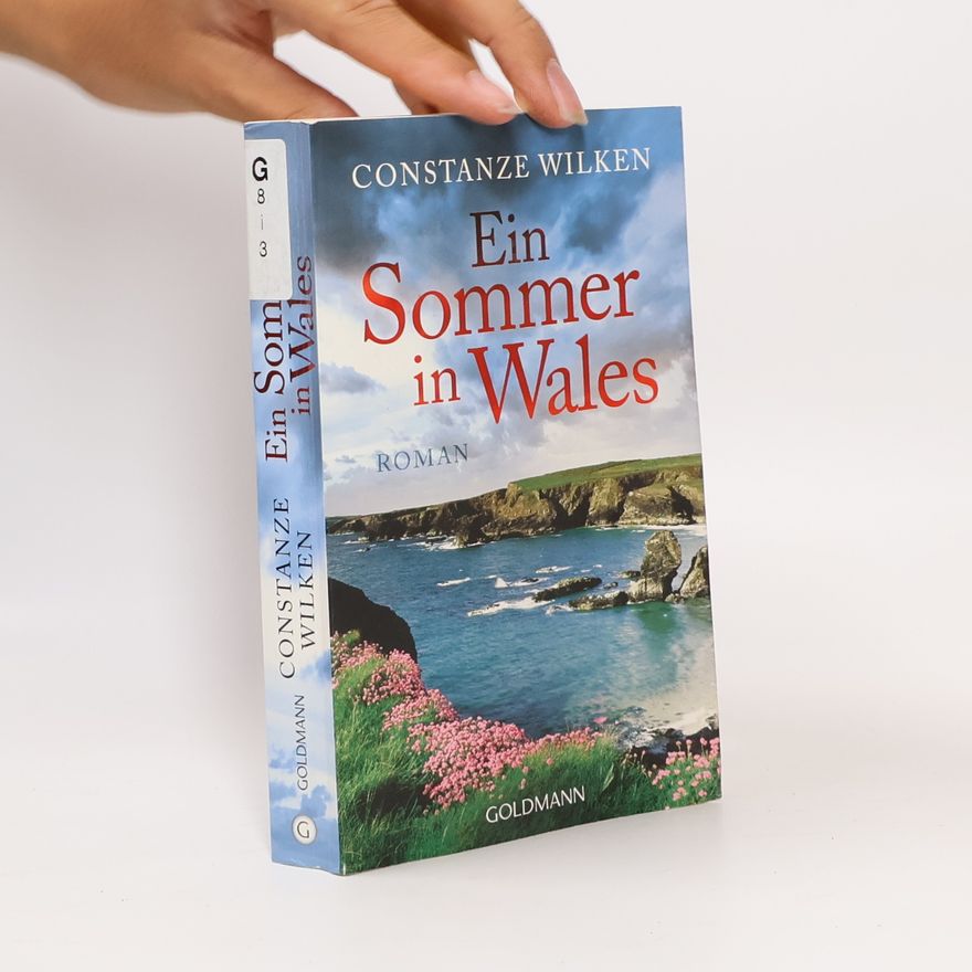 Constanze Wilken Ein Sommer in Wales