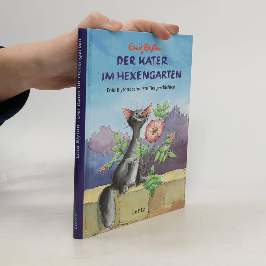 Enid Blyton Der Kater im Hexengarten
