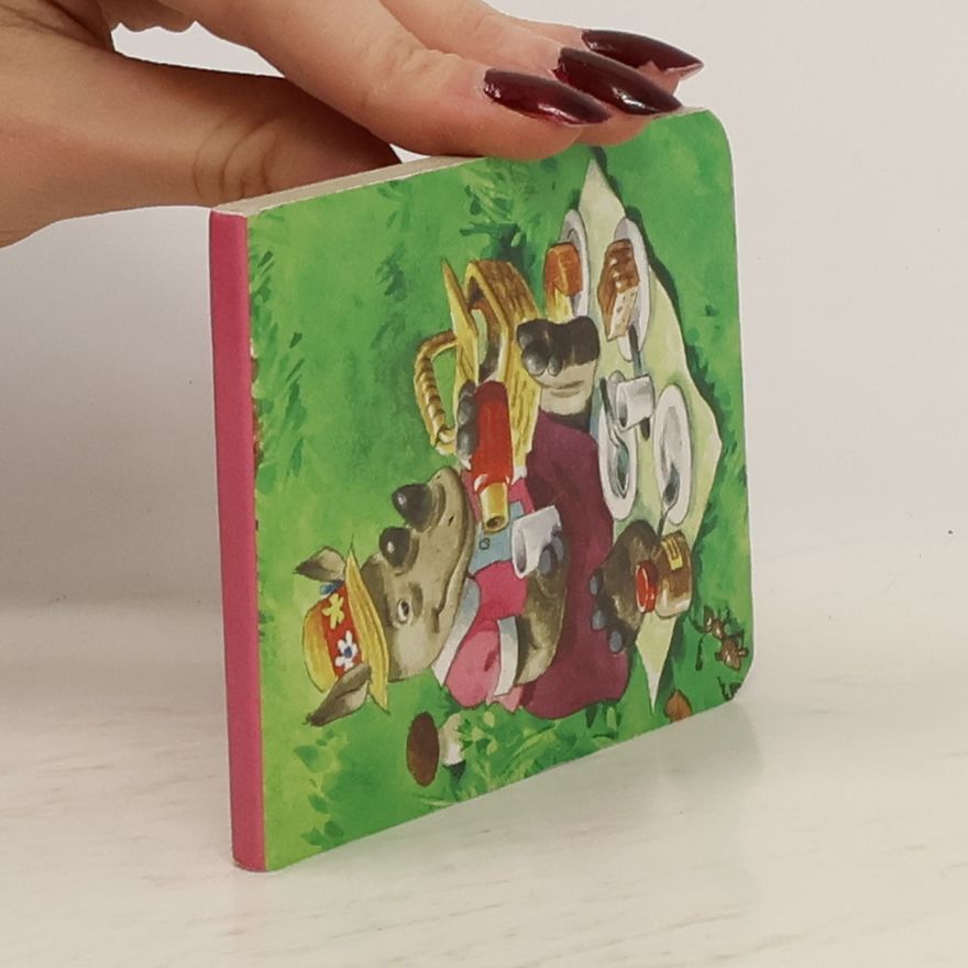 Kolektiv autorů Piknik