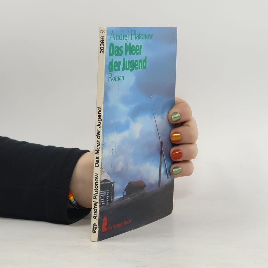 Andrei Platonov Das Meer der Jugend