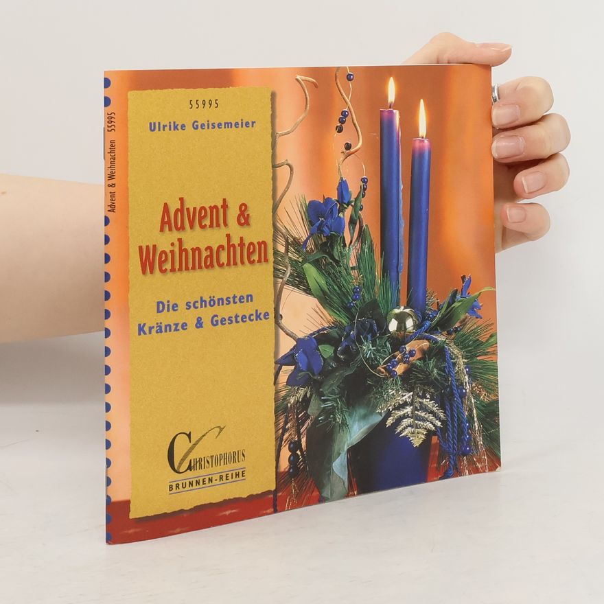 Ulrike Geisemeier Brunnen-Reihe: Advent & Weihnachten