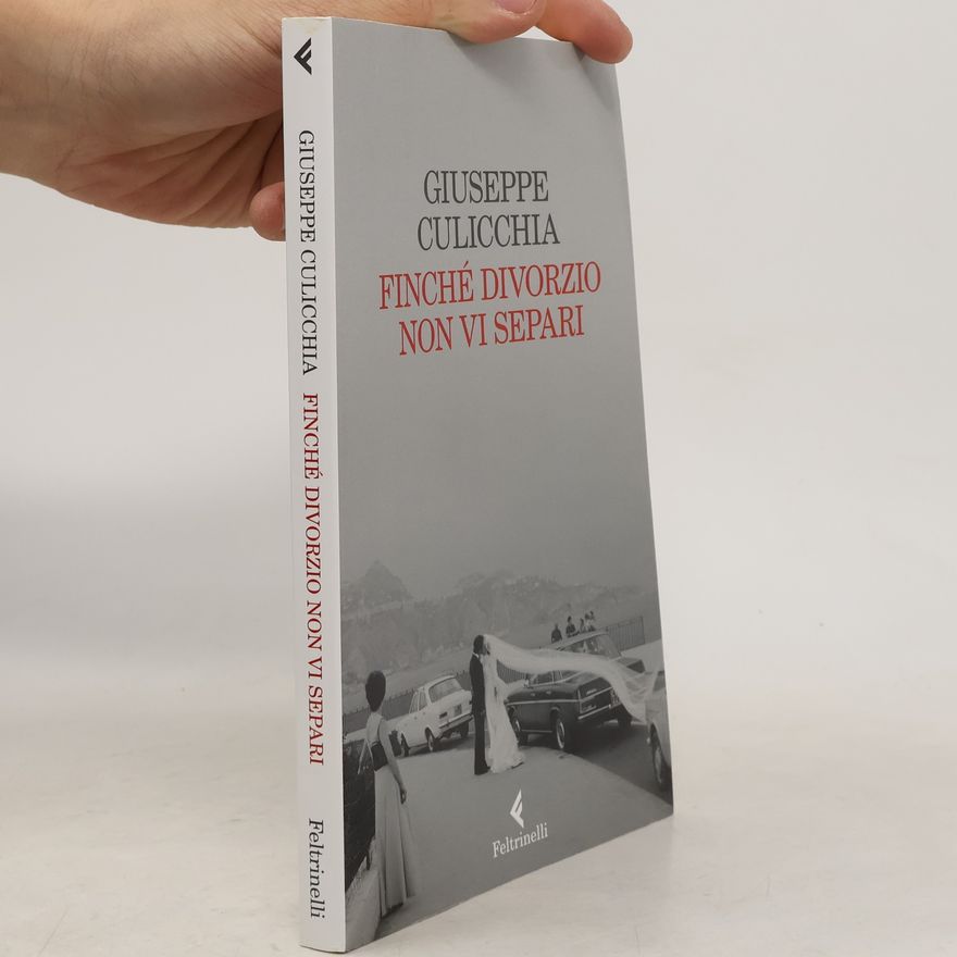 Giuseppe Culicchia Finché divorzio non vi separi