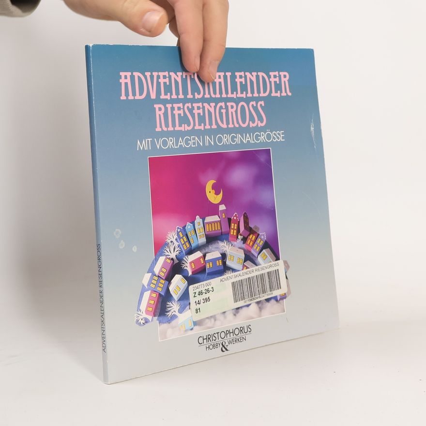 Kolektiv autorů Adventskalender riesengross
