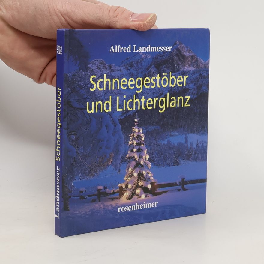 Alfred Landmesser Schneegestöber und Lichterglanz