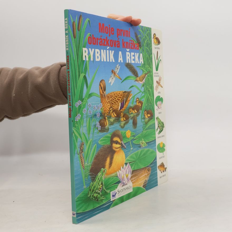 Gisela Fischer-Lingat Rybník a řeka – moje první obrázková knížka