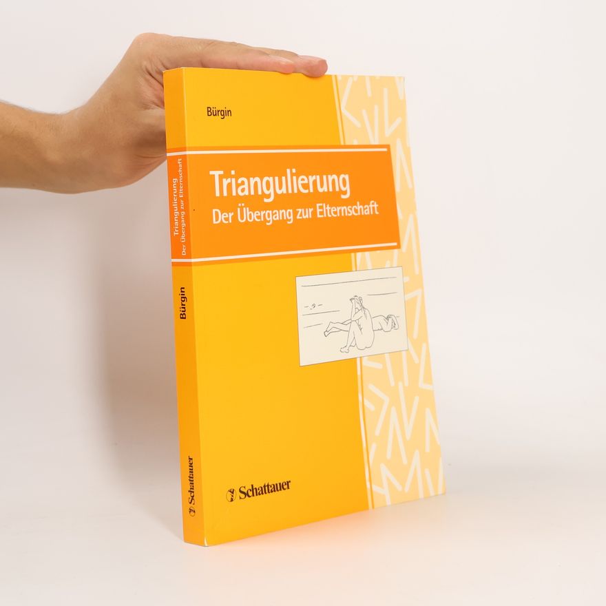Dieter Bürgin Triangulierung