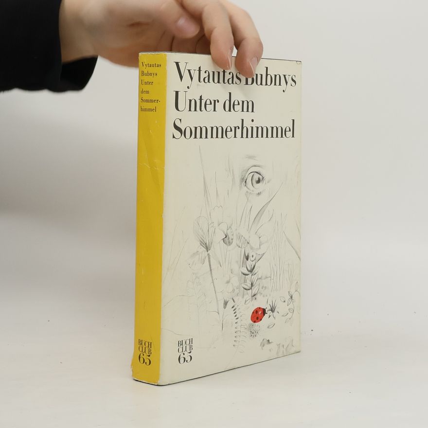 Vytautas Bubnys Unter dem Sommerhimmel