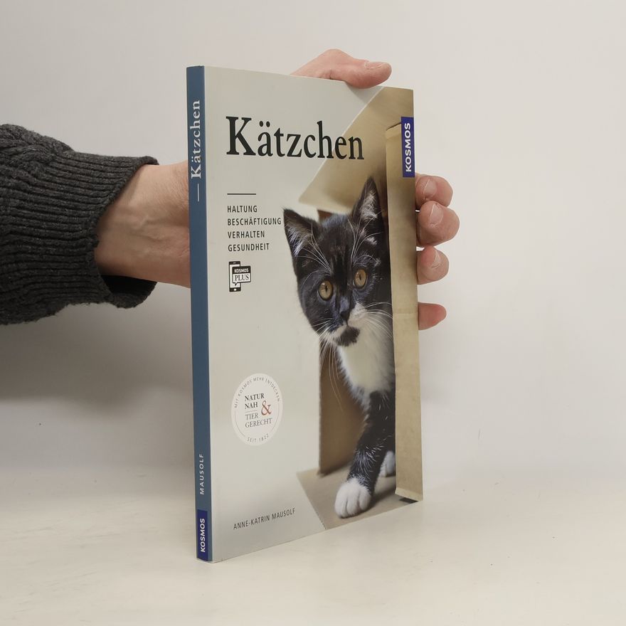 Anne-Katrin Mausolf Kätzchen