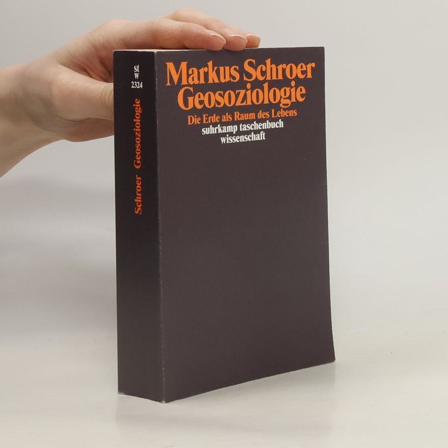 Markus Schroer Geosoziologie