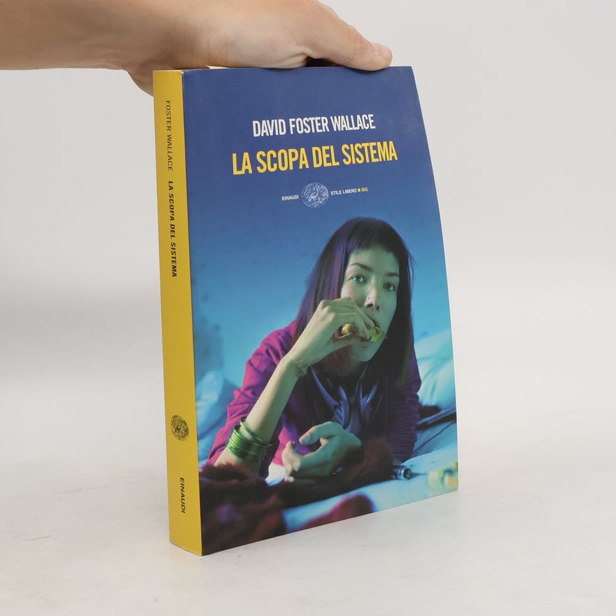 David Foster Wallace La scopa del sistema