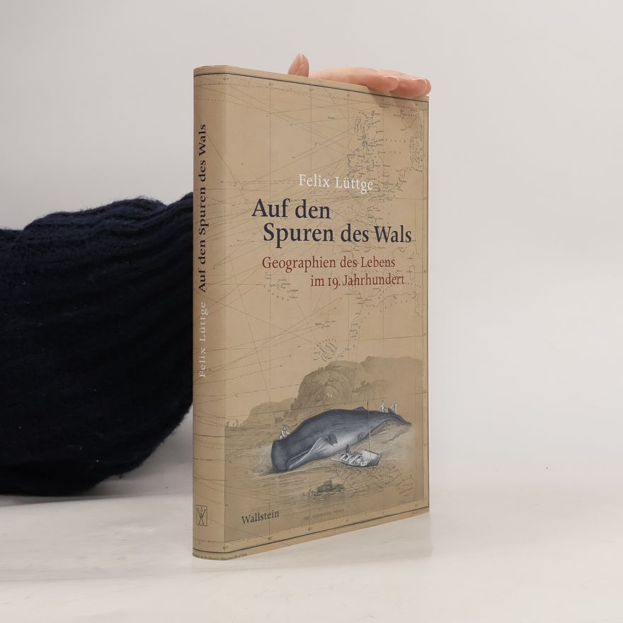 Felix Lüttge Auf den Spuren des Wals
