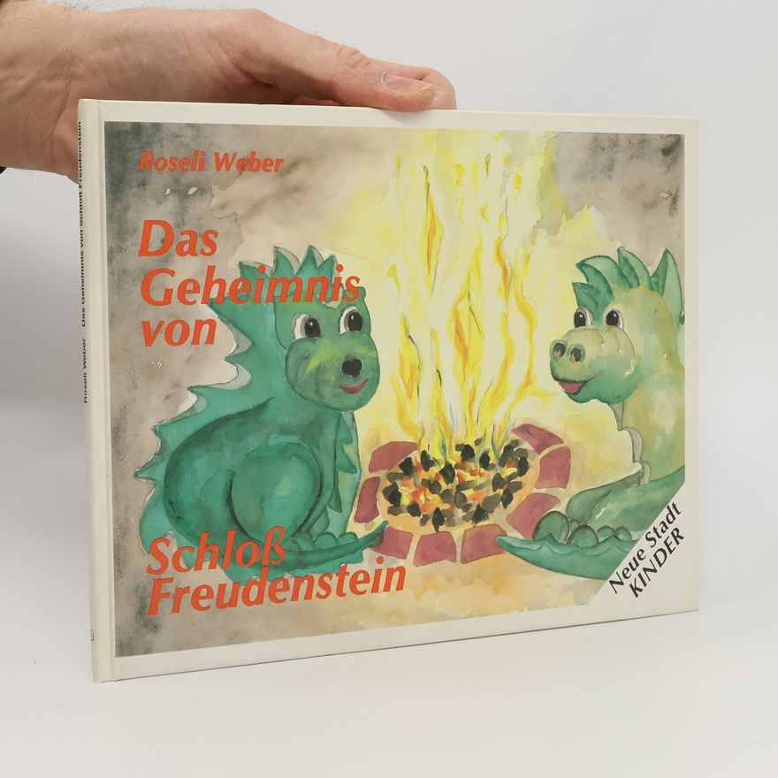 Roseli Weber Das Geheimnis von Schloss Freudenstein
