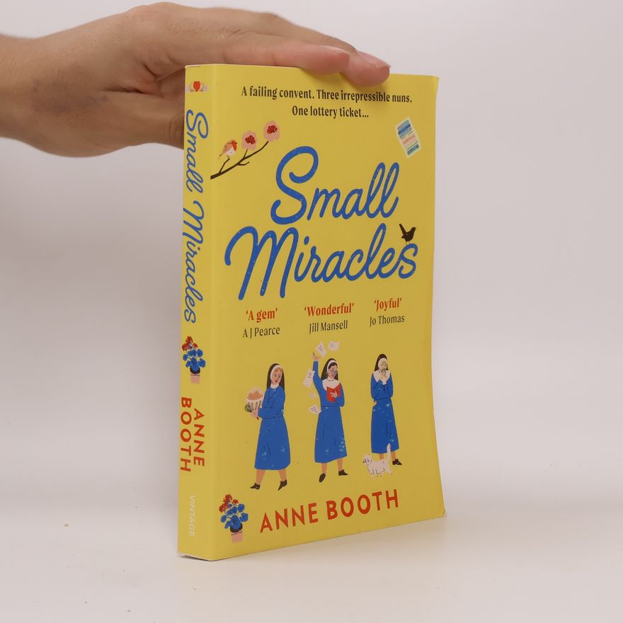 Anne Booth Small Miracles
