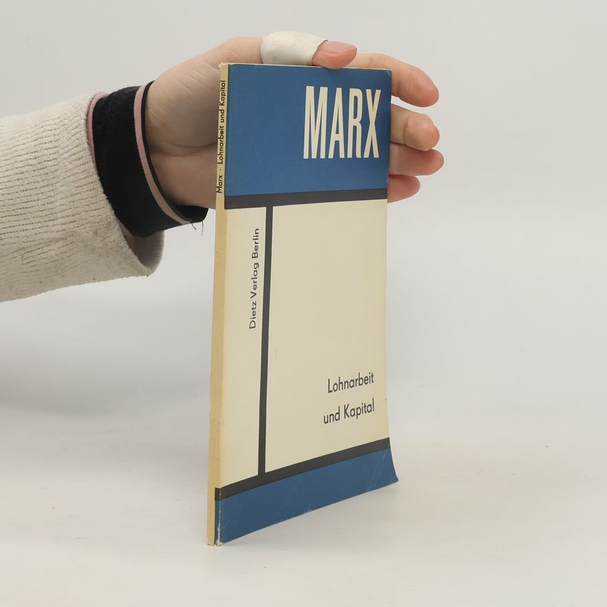 Kolektiv autorů Lohnarbeit und Kapital