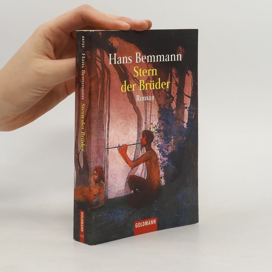 Hans Bemmann Stern der Brüder