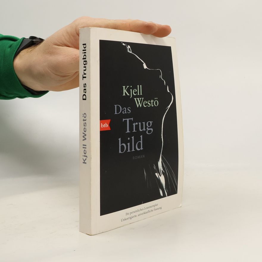 Kjell Westö Das Trugbild