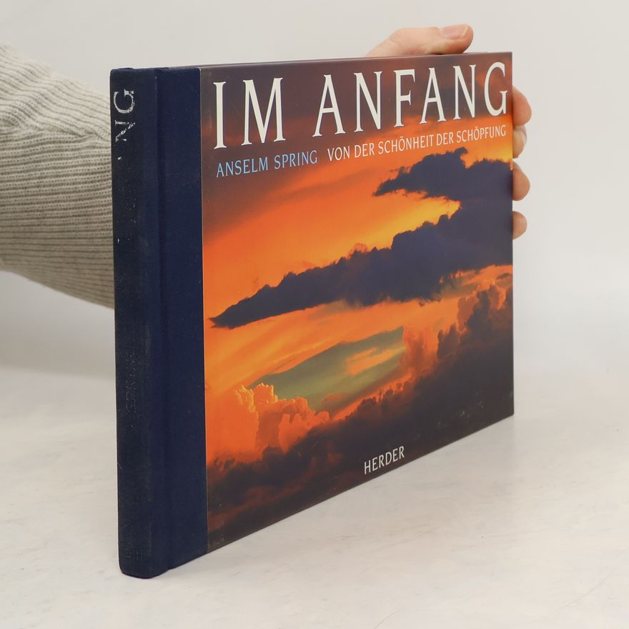 Anselm Spring Im Anfang