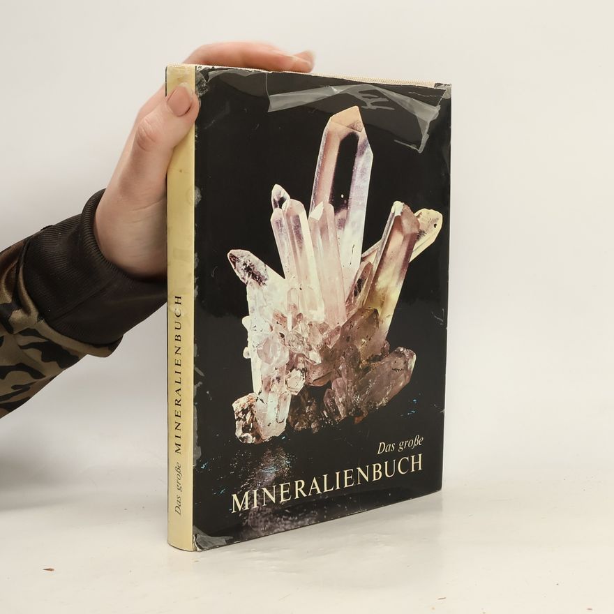 Autorenkollektiv Das grosse Mineralienbuch