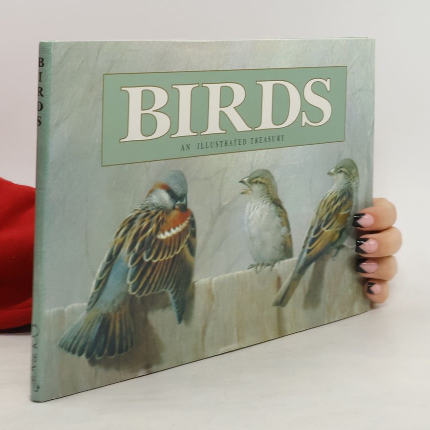 Michelle Lovric Birds