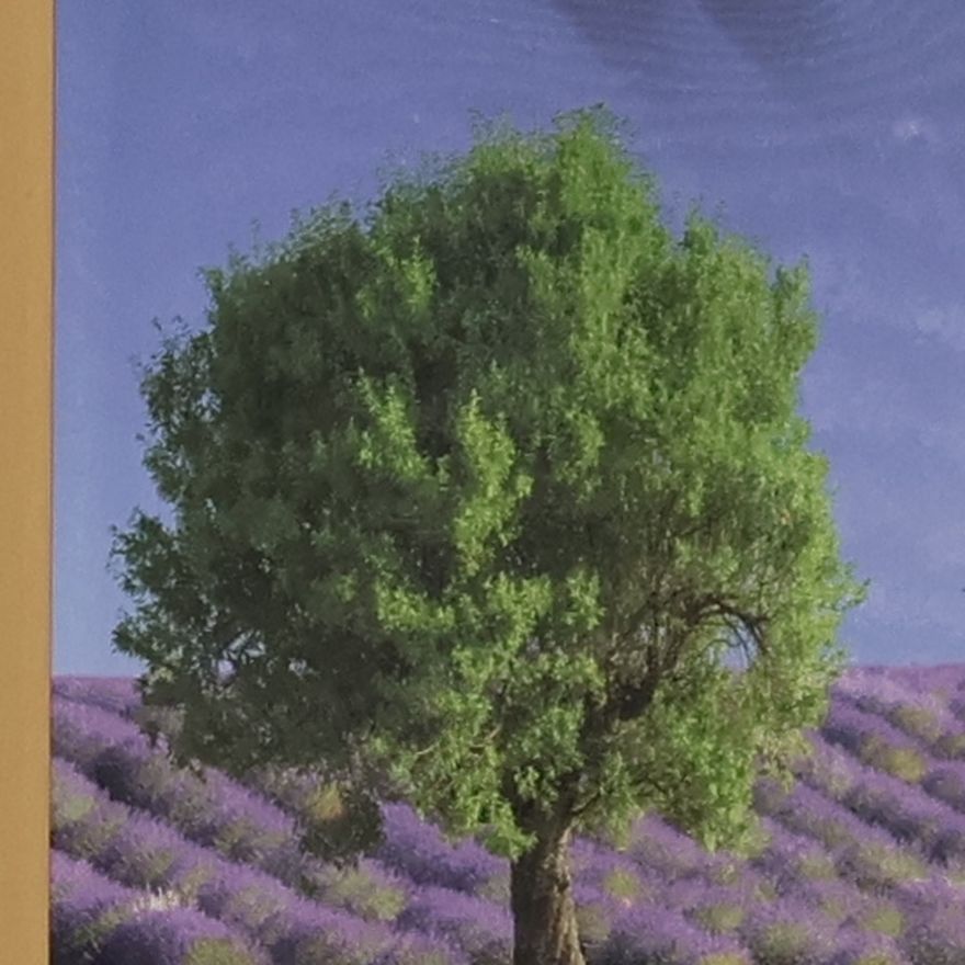 Michael Bengel Lesereise Provence