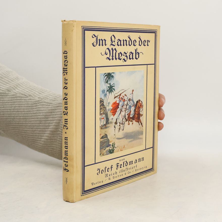 Josef Feldmann Im Lande der Mezab