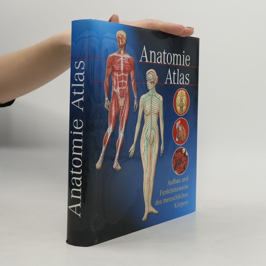 Autorenkollektiv Anatomie Atlas