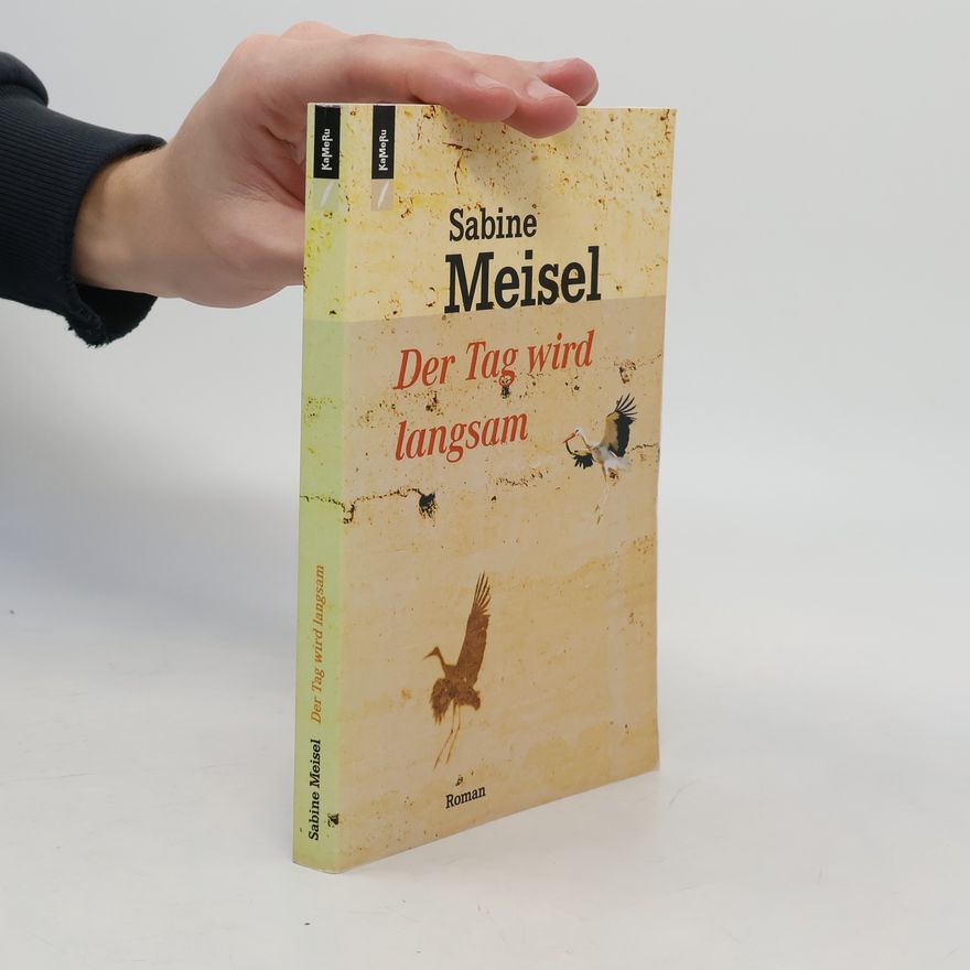 Sabine Meisel Der Tag wird langsam