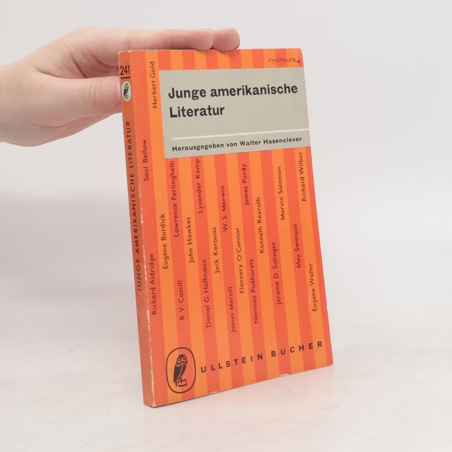 Various authors Junge amerikanische Literatur