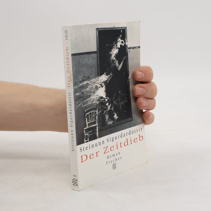 Steinunn Sigurðardóttir Der Zeitdieb