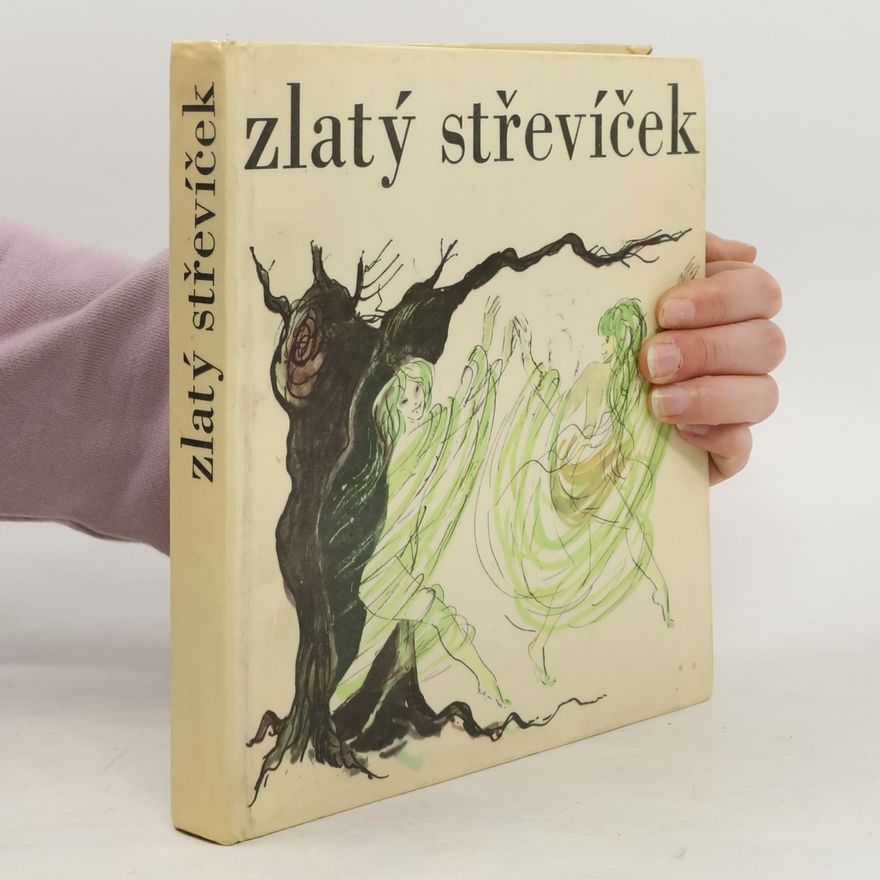 Kolektiv autorů Zlatý střevíček