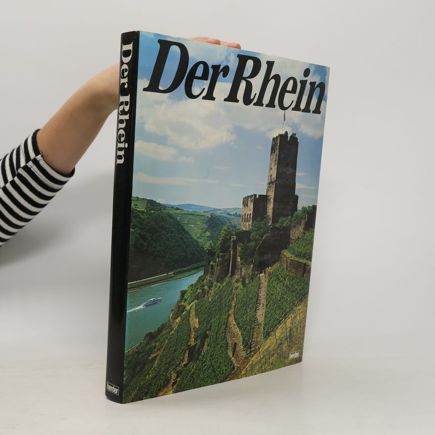 Toni Schneiders Der Rhein