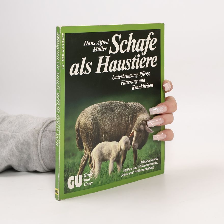 Hans Alfred Müller Schafe als Haustiere