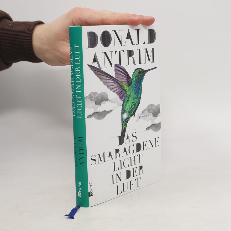 Donald Antrim Das smaragdene Licht in der Luft